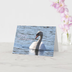Carte Anniversaire du cygne