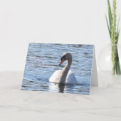 Carte Anniversaire du cygne (Devant)