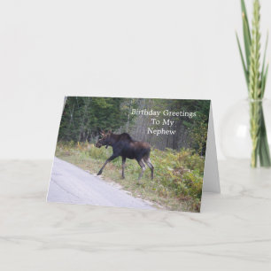 Carte Anniversaire du jeune orignal sur la route-Nephew