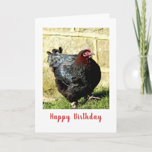 Carte Anniversaire du poulet (Devant)
