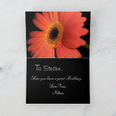 Carte Anniversaire d'un frère / soeur (Intérieur)