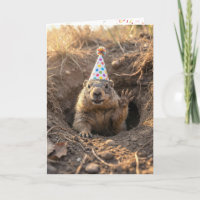 Anniversaire d'une marmotte avec chapeau de fête