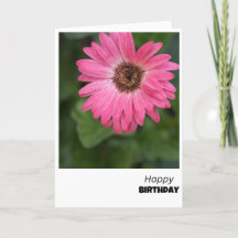 Carte Anniversaire en fleurs roses vives