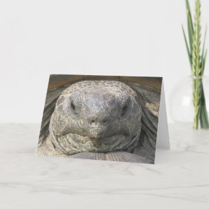 Carte Anniversaire en retard