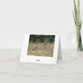 Carte Anniversaire, entouré par des dindes (Dos)