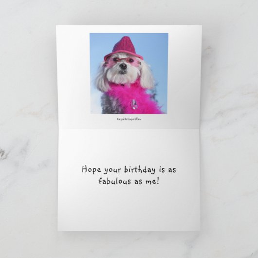 Carte Anniversaire fabuleux (Intérieur)