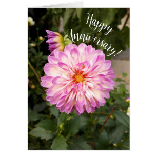 Carte Anniversaire Fancy Purple and White Dahlia