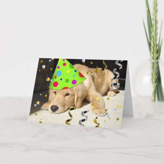 Carte Anniversaire fête Animal Golden Retriever (Devant)