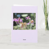 Carte Anniversaire Fleur sauvage de Corfu Lilac (Dos)