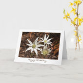 Carte Anniversaire - Fleurs Flannel (Fleur jaune)