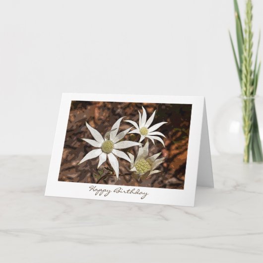 Carte Anniversaire - Fleurs Flannel (Devant)