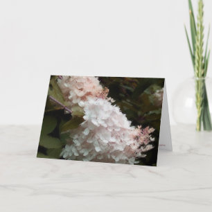 Carte Anniversaire Floral d'Hydrangeas