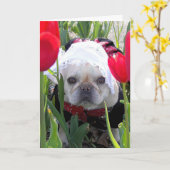 Carte Anniversaire Français Bulldog dans un jardin de tu (Fleur jaune)