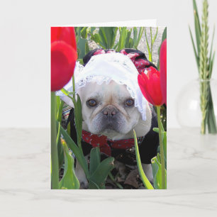 Carte Anniversaire Français Bulldog dans un jardin de tu