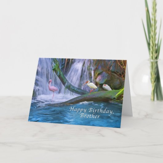 Carte Anniversaire, Frère, Cascade tropicale, Oiseaux (Devant)