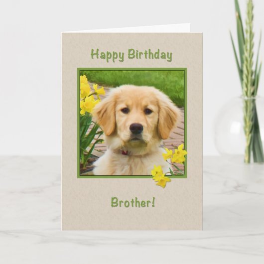 Carte Anniversaire, Frère, Golden Retriever Dog, Daffodi (Devant)