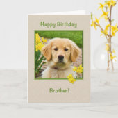 Carte Anniversaire, Frère, Golden Retriever Dog, Daffodi (Fleur jaune)