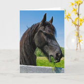 Carte anniversaire frison noir de cheval (Fleur jaune)