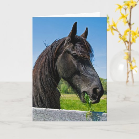 Carte anniversaire frison noir de cheval (Fleur jaune)
