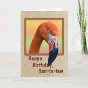 Carte Anniversaire, gendre, Flamant rose Bird
