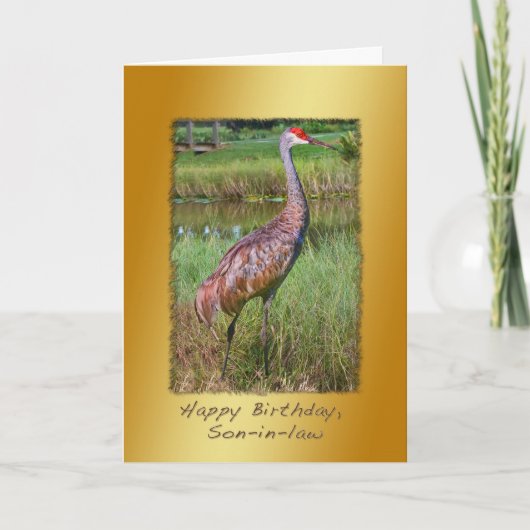 Carte Anniversaire, gendre, Grue de Sandhill Bird (Devant)