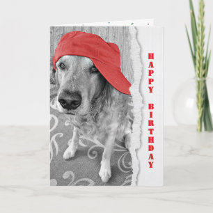 Carte Anniversaire Golden Retriever avec Casquette rouge