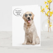 Carte Anniversaire Golden Retriever avec lunettes de sol (Fleur jaune)