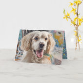 Carte Anniversaire Golden Retriever Avec Peinture (Fleur jaune)