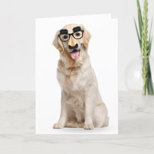 Carte Anniversaire Golden Retriever dans un masque