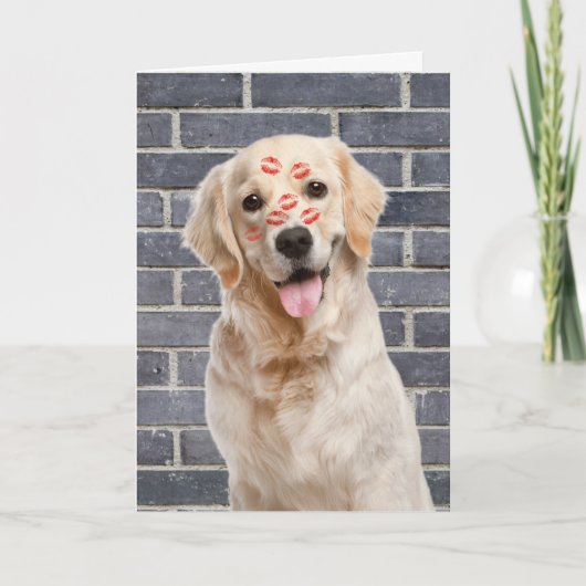 Carte Anniversaire Golden Retriever en brique (Devant)