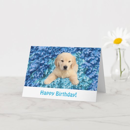 Carte Anniversaire Golden Retriever Puppy (Petite plante)