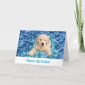 Carte Anniversaire Golden Retriever Puppy (Devant)