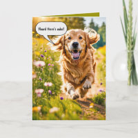 Anniversaire Golden Retriever Running