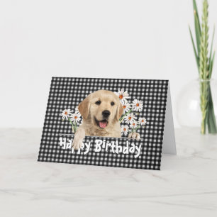 Carte Anniversaire Golden Retriever sur En vichy