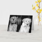 Carte Anniversaire heureux ! (Fleur jaune)