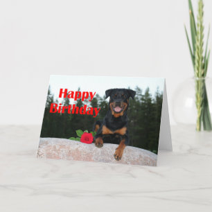 Carte anniversaire heureux de rottweiler