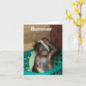 Carte Anniversaire heureux et tardif Je suis désolé (Fleur jaune)