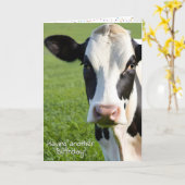 Carte Anniversaire Holstein Humour de vache (Fleur jaune)
