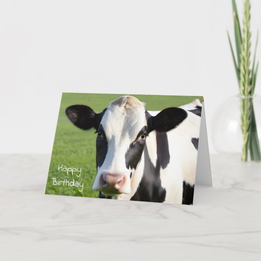 Carte Anniversaire Holstein Humour de vache (Devant)