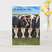 Carte Anniversaire Holstein Vaches pâturage (Fleur jaune)
