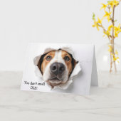 Carte Anniversaire Hound Dog Visage dans le trou de papi (Fleur jaune)