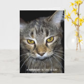 Carte anniversaire humoristique de chat (Fleur jaune)