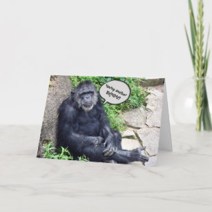 Cartes Drole Singe D Anniversaire Zazzle Be