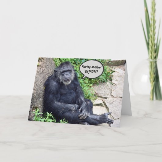 Carte Anniversaire humoristique du Chimpanzé (Devant)