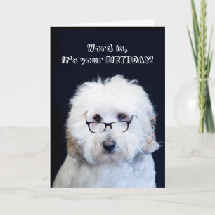 CARTE ANNIVERSAIRE - HUMOUR AVEC CHIEN/VERRE NOIR-RIM