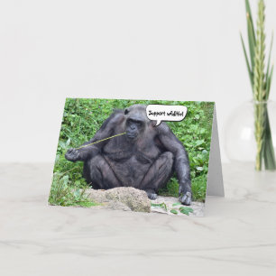 Carte Anniversaire humour Chimpanzé