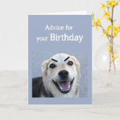 Carte Anniversaire Humour mignon Chien Fondu Vue Se maqu (Fleur jaune)