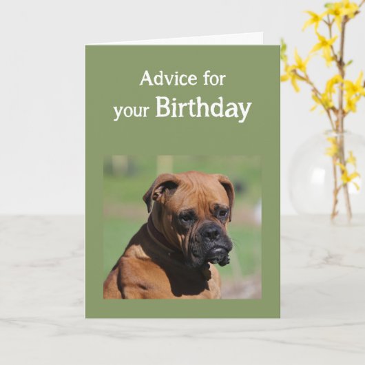 Carte Anniversaire Humour mignon Chien plus âgé doit êtr (Fleur jaune)