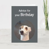 Carte Anniversaire Humour mignon chien trop Humour café (Devant)