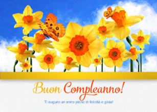 Cartes Salutations Italiennes D En Italien D Anniversaire Zazzle Be Cartes Salutations Italiennes D En Italien D Anniversaire Zazzle Be